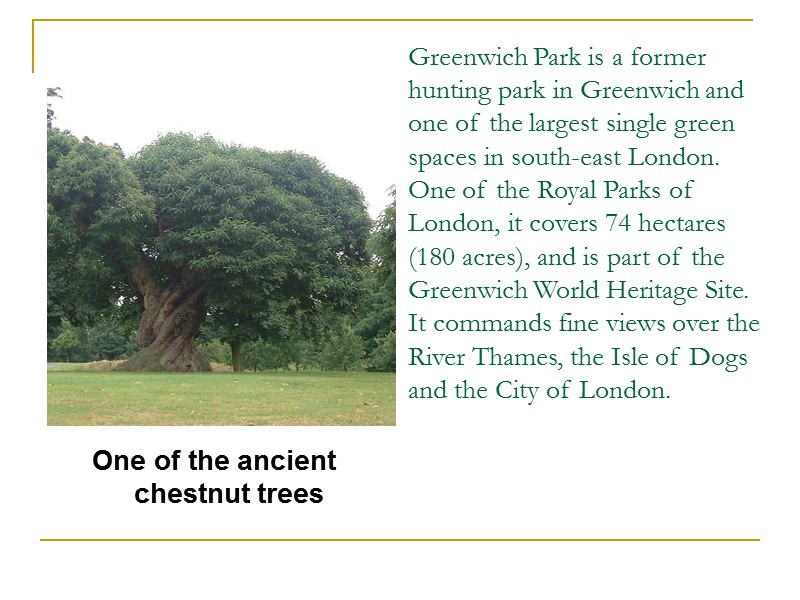 Greenwich Park is a former hunting park in Greenwich and one of the largest